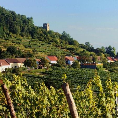 Prabatsch-Aichinger Winzergut Appartement Langenlois Buitenkant foto