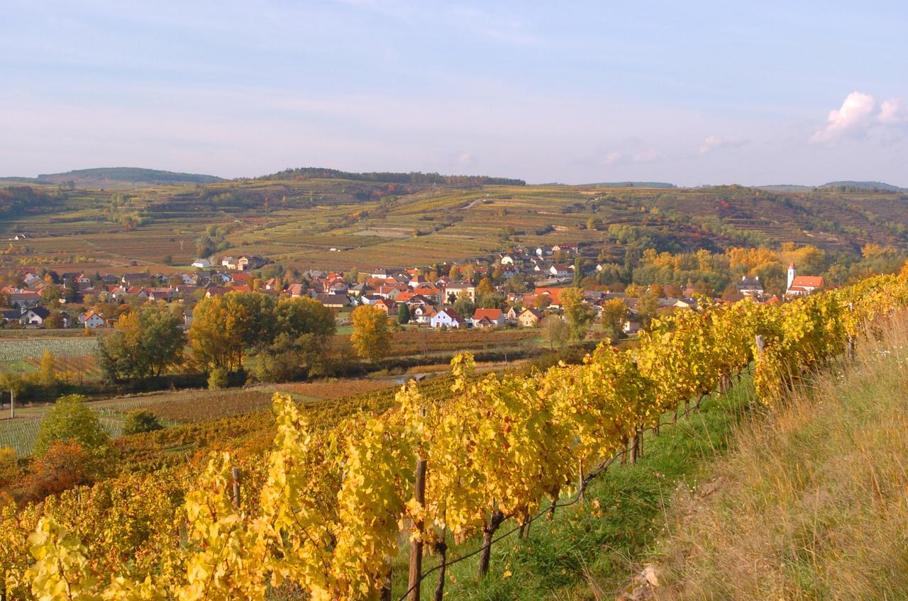 Prabatsch-Aichinger Winzergut Appartement Langenlois Buitenkant foto