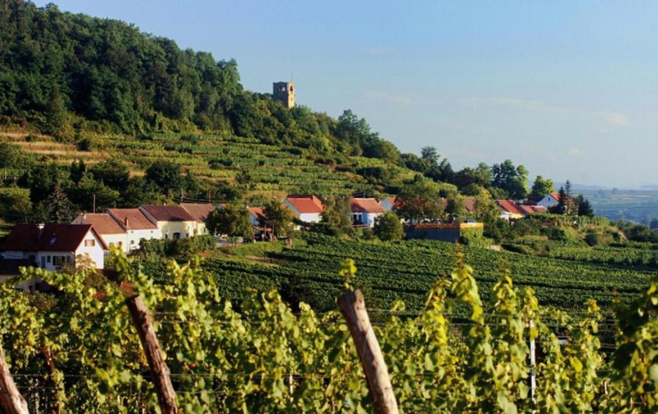 Prabatsch-Aichinger Winzergut Appartement Langenlois Buitenkant foto